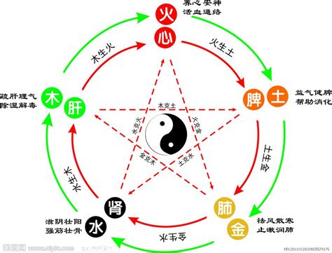 中五行|中字的五行属性